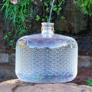 Alive Water Glass Jug