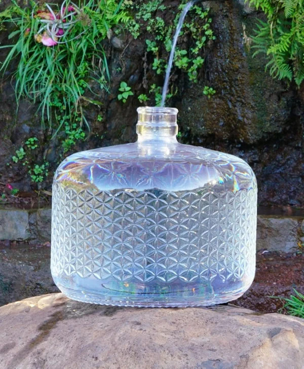 Alive Water Glass Jug