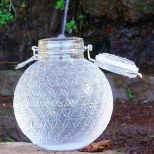 Alive Water Globe