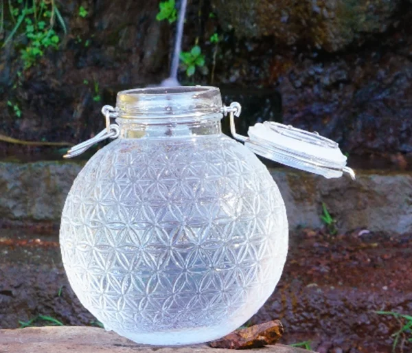 Alive Water Globe