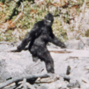Profile photo of Tony