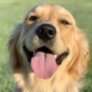Profile photo of Scary
