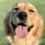 Profile photo of ScaryBear