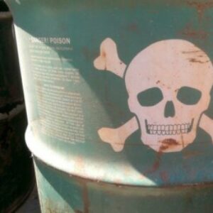 Profile photo of Ronald