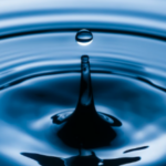 Profile photo of ecahill