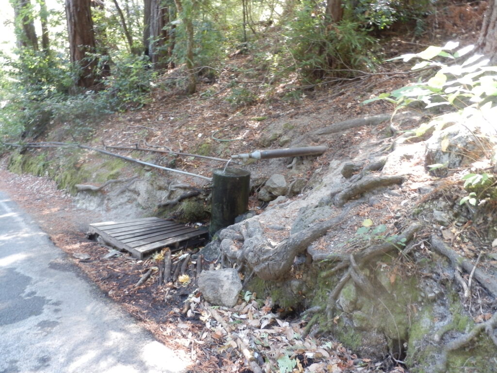 Angwin Spring